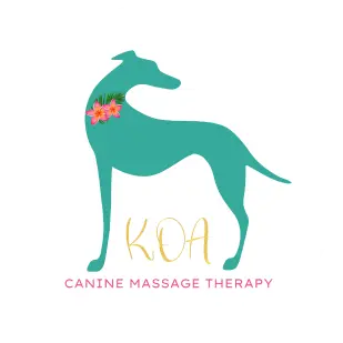 canine massage therapy insurance