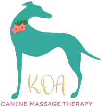 canine massage therapy salary